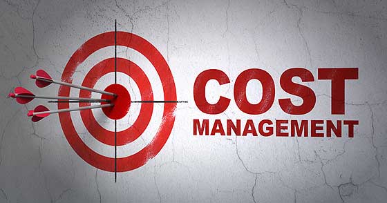 Cost Management – Estimating, Budgeting and Value